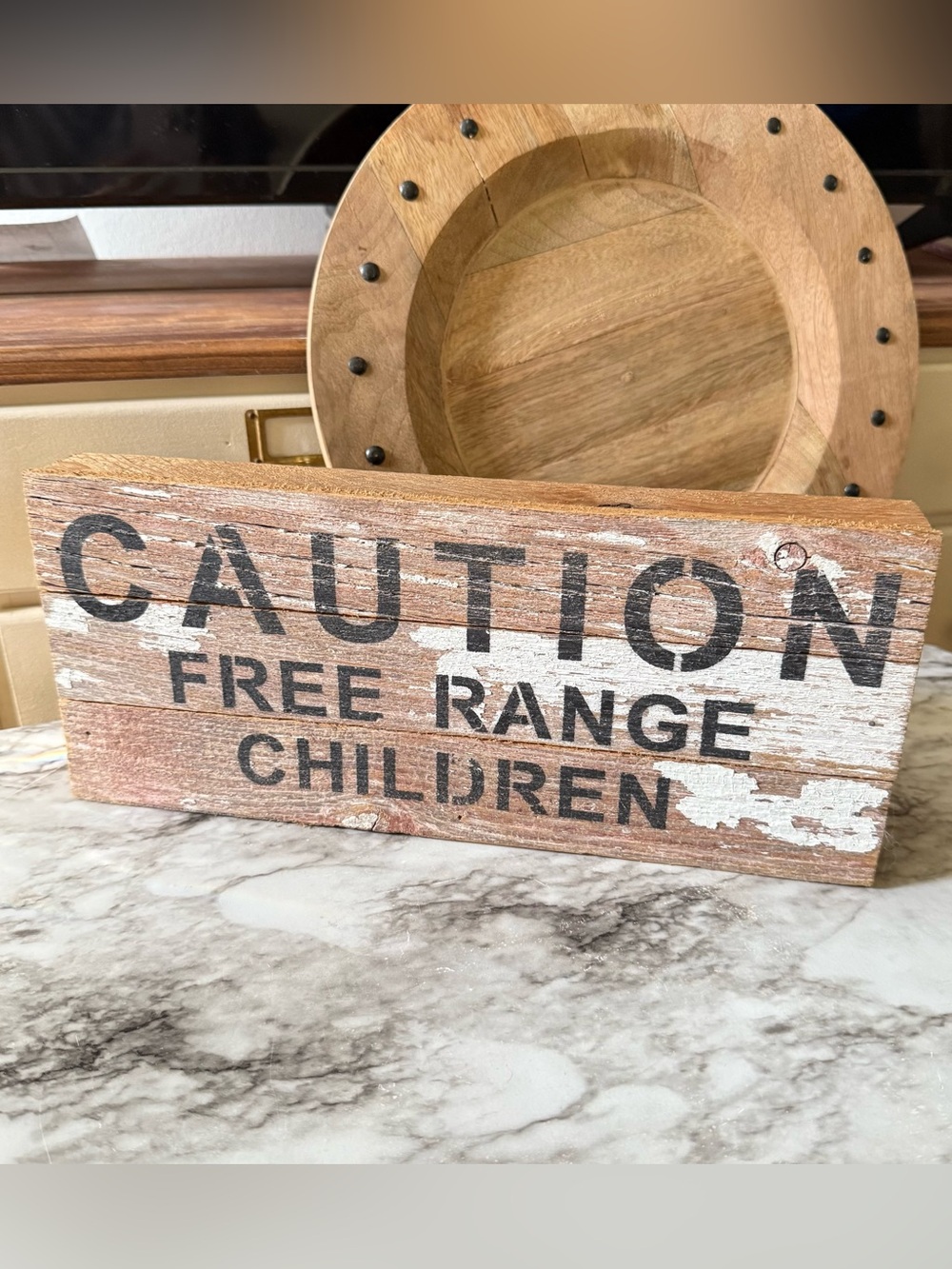 Caution Free Range Children Reclaimed Wood Sign/Art, Second Nature by Hand
